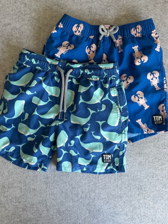 Tom and Teddy Other - Tom and Teddy Boys Swim Trunk Bundle Size 5/6